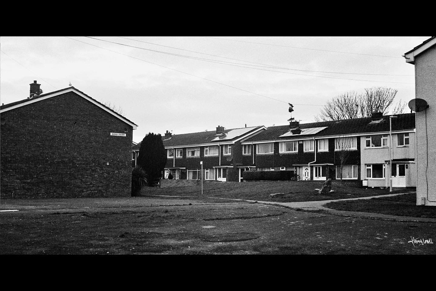 35mm Film Photography Series - Gallery image 3