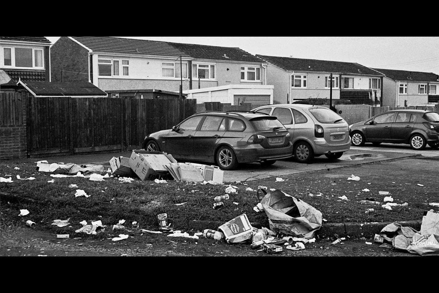 35mm Film Photography Series - Gallery image 4